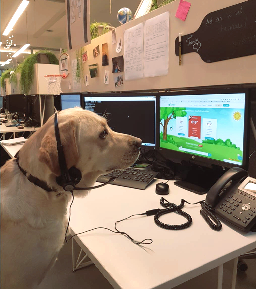 Šuo Maja taip pat padeda kolegoms dirbti su klientais